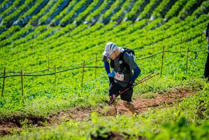 BIB: 
                            <button type="button" onclick="openModal(19161712)" class="btn btn-primary btn-sm float-right btn-popup" data-toggle="modal" data-target=".modal-high-quality">
                        <i class="fas fa-shopping-cart"></i> Add to Cart
                    </button>
                                            <button type="button" onclick="isThisMe(19161712, true)" class="btn btn-success btn-sm float-right btn-popup btn-isme hidden" data-toggle="tooltip" data-placement="bottom" title="นี่คือรูปของคุณใช่ไหม คลิกที่นี่เพื่อเอาเข้าอัลบั้ม">
                        <i class="fas fa-plus"></i> Add to album
                    </button>
                    <button type="button" onclick="isThisMe(19161712, false)" class="btn btn-warning btn-sm float-right btn-popup btn-isnotme hidden">
                        <i class="fas fa-ban"></i> Remove from album
                    </button>